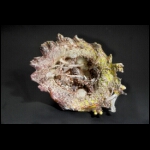 Birth of Sunset 9x10x7 in.jpg